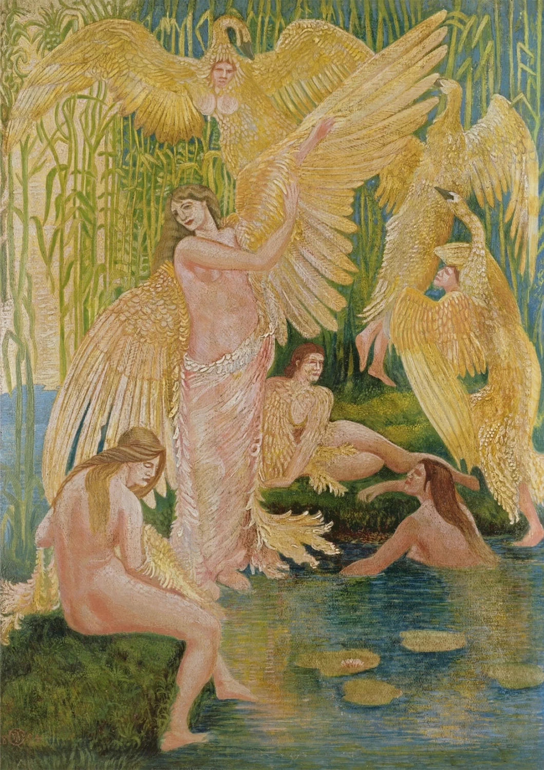Le fanciulle cigno 1